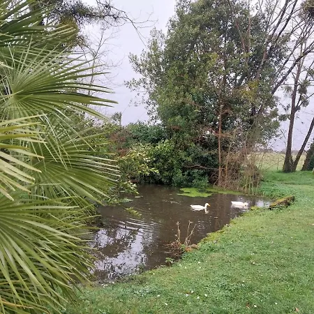 Au Calme Pour 2 Adultes Et 1 Enfant Appartement *